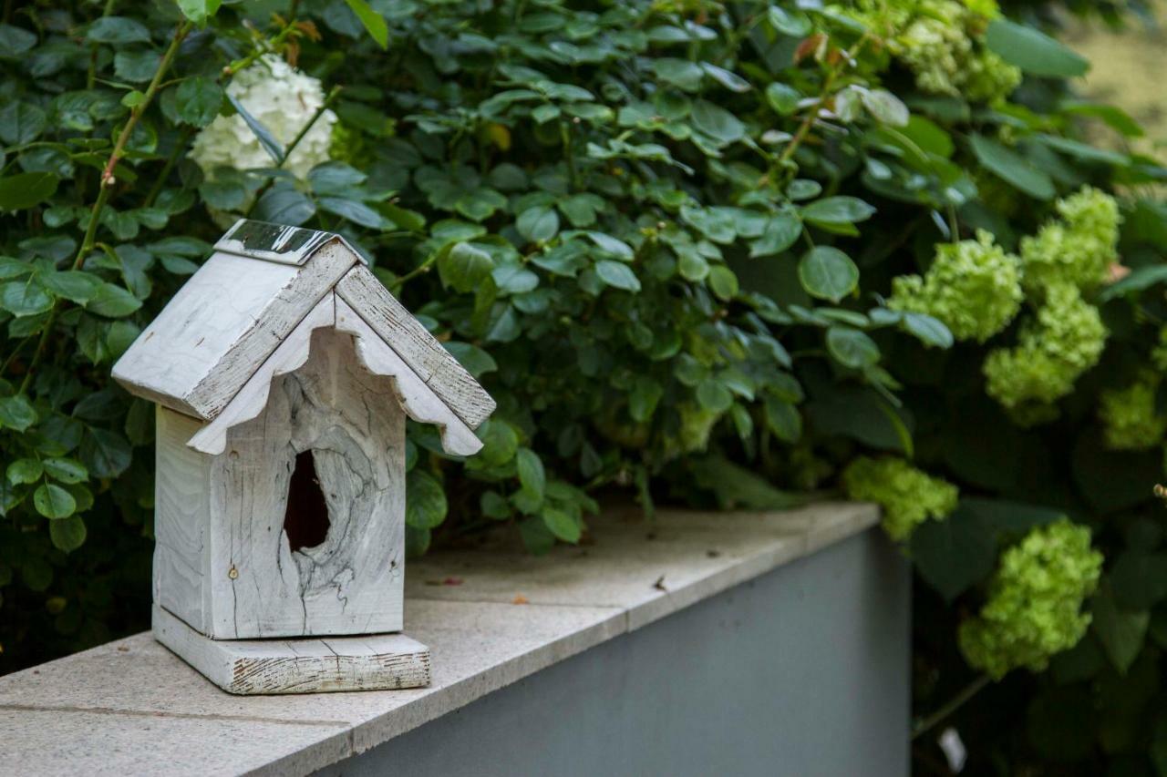 Apartment Magnolija - Free Parking Karlovac Eksteriør billede